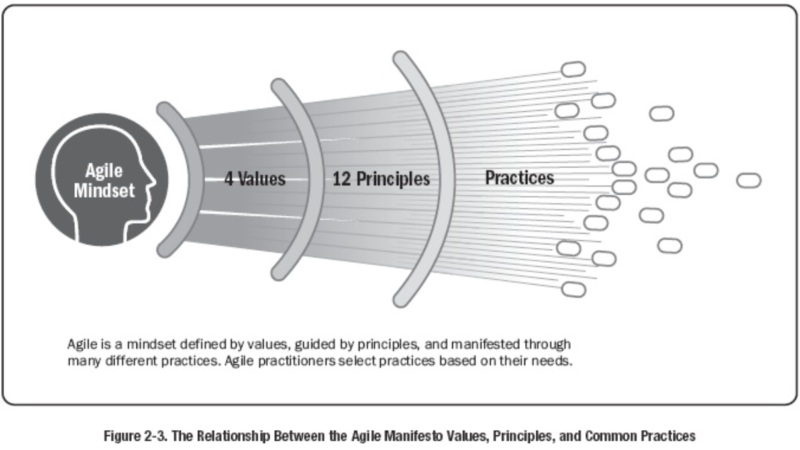 Figura do Agile Practice Guide - PMI e Agile Alliance