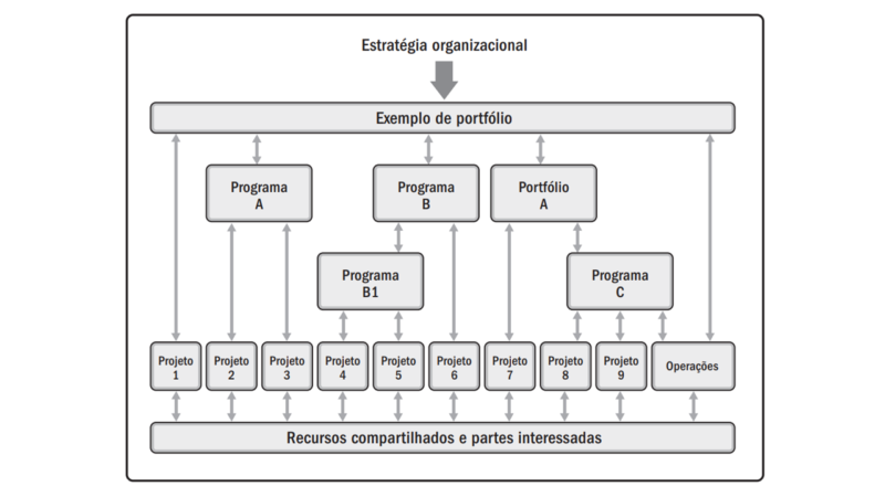 Portfólio, programas e projetos