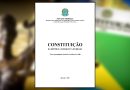 5 Princípios constitucionais para ter sucesso em seus projetos